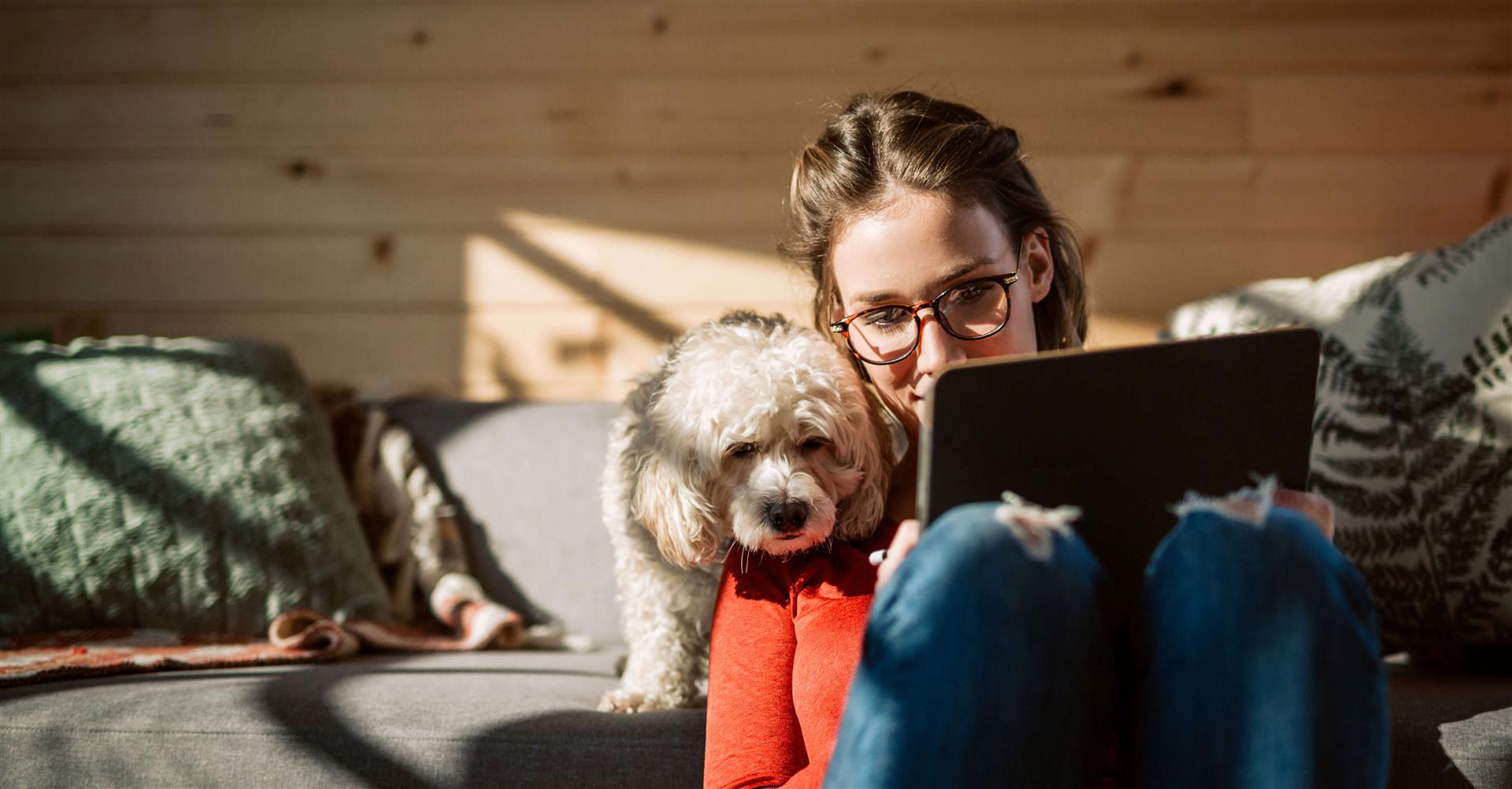 Lady using tablet with a dog peering over her shoulder