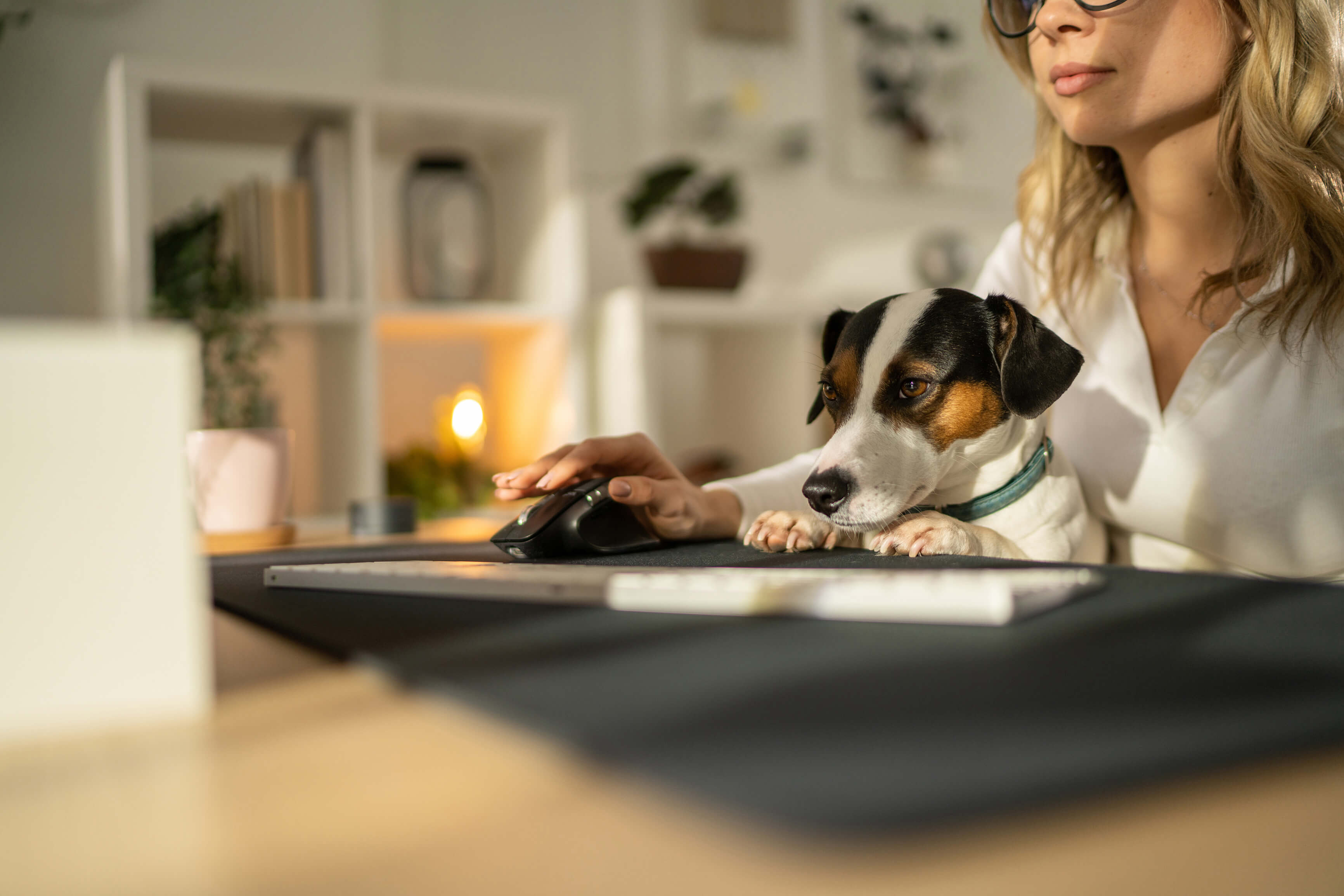 Lady at a computer with a dog on her lap